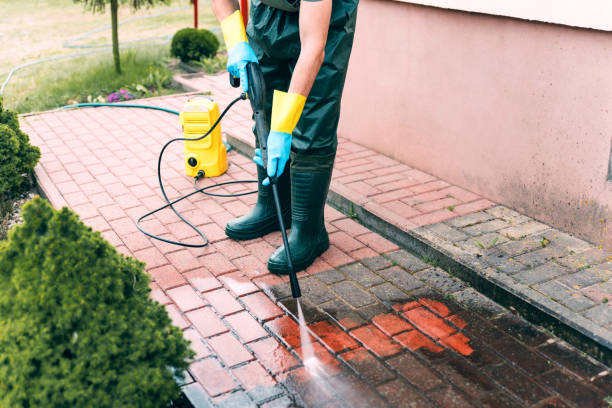 Best Deck Cleaning Services  in Stapleton, AL