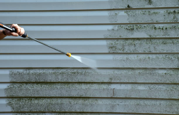 Best Pressure Washing Contractors  in Stapleton, AL