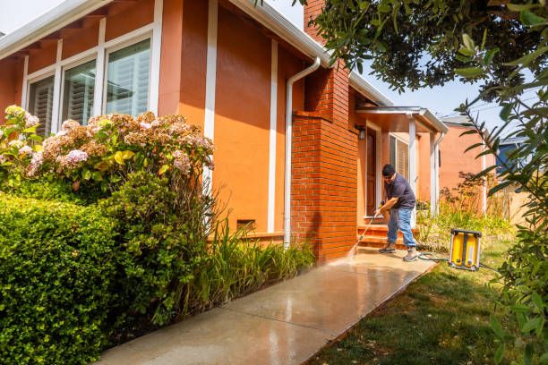 Best Local Pressure Washing Services  in Stapleton, AL