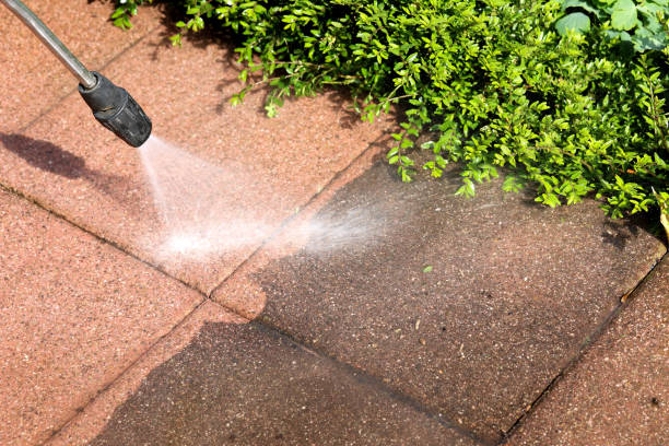 Professional Pressure Washing in Stapleton, AL